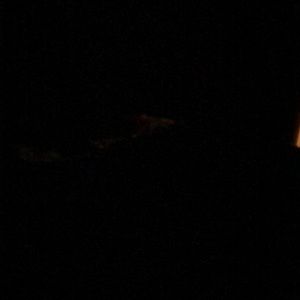 Meet your Posher, Jocelyn